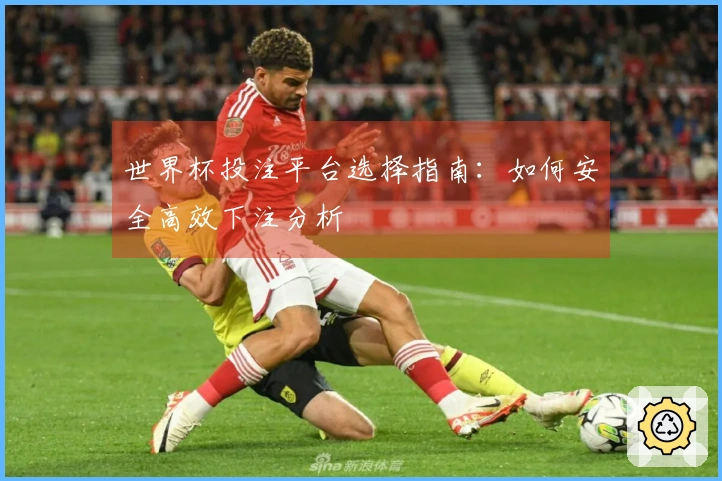 世界杯投注平台选择指南：如何安全高效下注分析