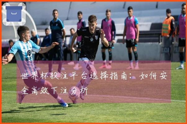 世界杯投注平台选择指南：如何安全高效下注分析