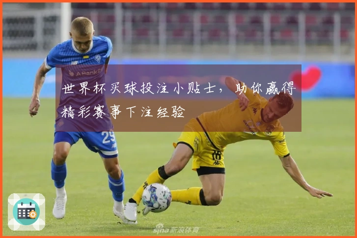 世界杯买球投注小贴士，助你赢得精彩赛事下注经验