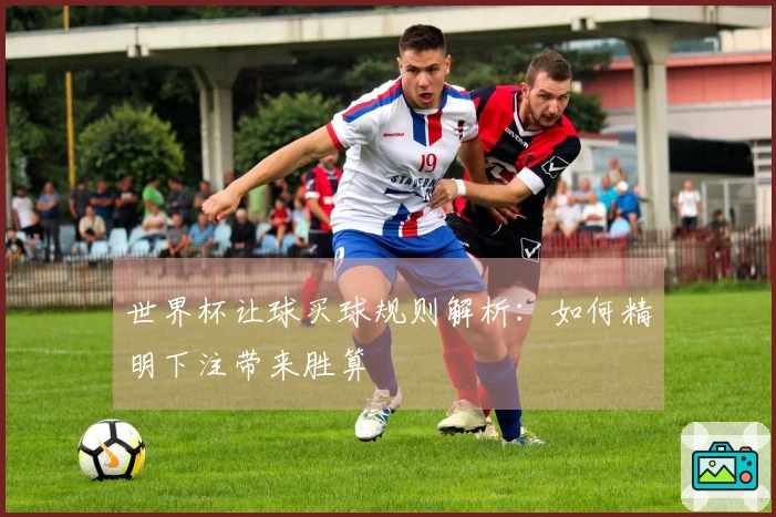 世界杯让球买球规则解析：如何精明下注带来胜算
